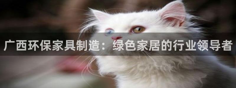 杏耀线路5检测
