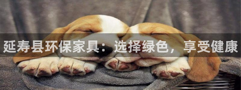 杏耀测速娱乐