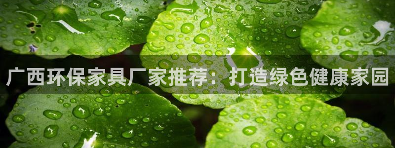 杏耀手机登录线路测速