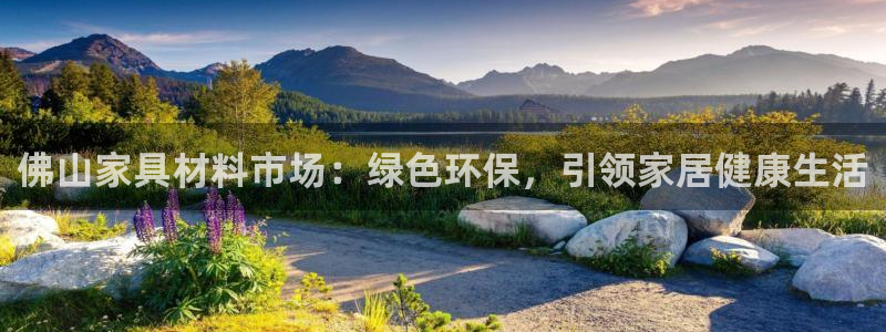 杏耀平台测速地址