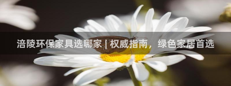 杏耀开户app下载