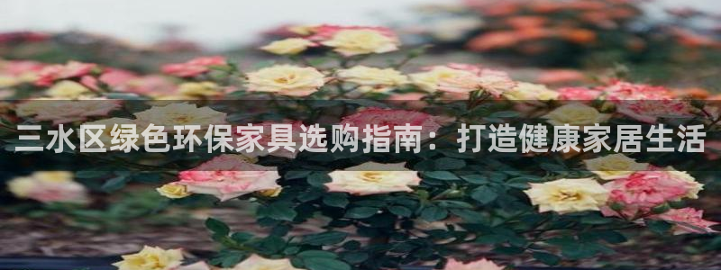 杏耀平台登录网址