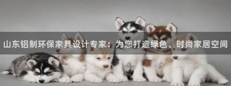 杏耀官网登录：山东铝制环保家具设计专家：为您打造绿色、时尚家