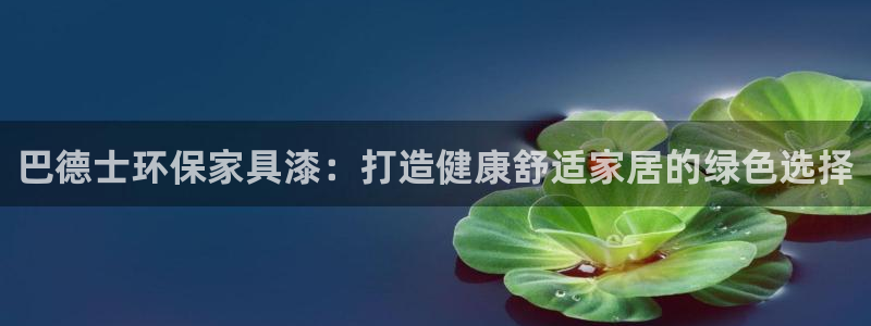 杏耀平台指定：巴德士环保家具漆：打造健康舒适家居的绿色选择