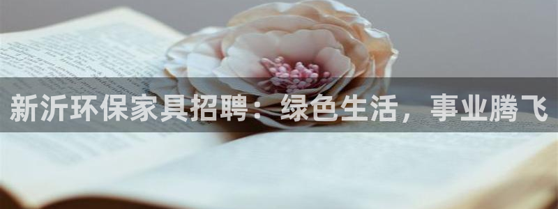 杏耀总代