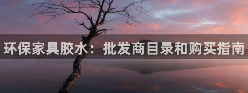 杏耀平台测：环保家具胶水：批发商目录和购买指南
