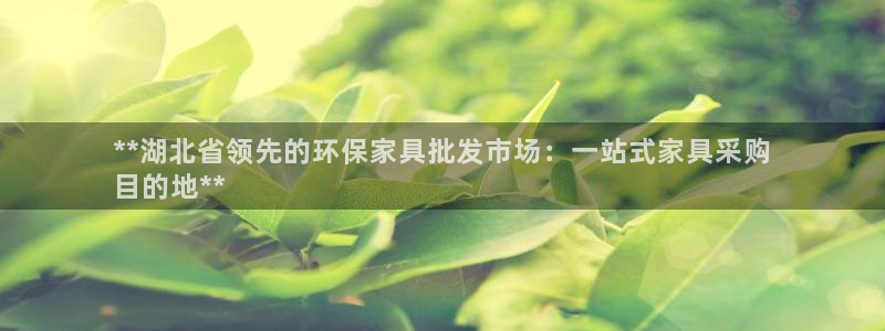 杏耀平台线路测速