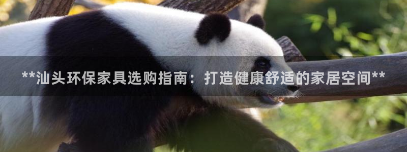 杏耀平台注册代理：**汕头环保家具选购指南：打造健康舒适的家