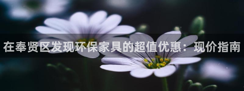 杏耀线路测速登录中心：在奉贤区发现环保家具的超值优惠：现价指