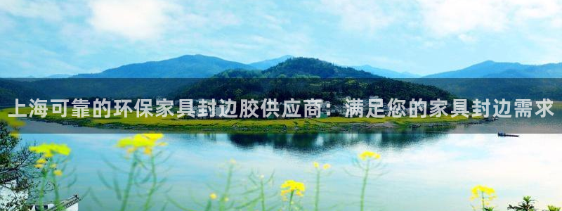 杏耀注册线路：上海可靠的环保家具封边胶供应商：满足您的家具封