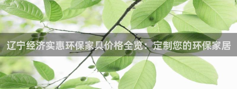 杏耀平台已7O777：辽宁经济实惠环保家具价格全览：定制您的