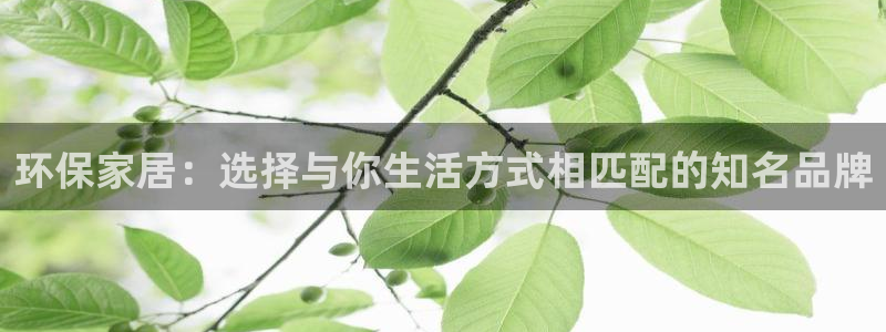杏耀登陆