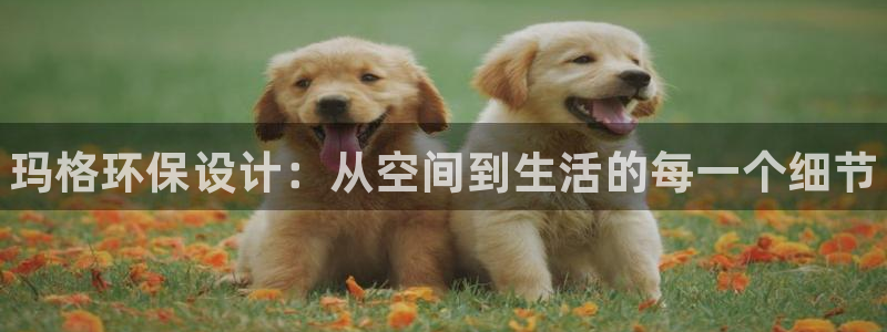 杏耀代理官网：玛格环保设计：从空间到生活的每一个细节