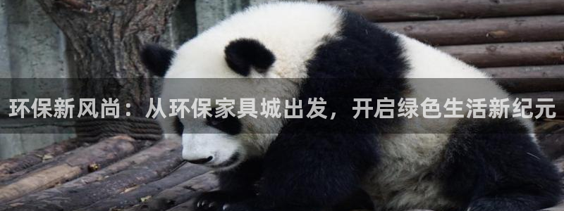 杏耀线路测速登录中心：环保新风尚：从环保家具城出发，开启绿色