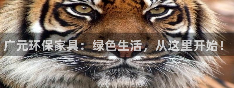 杏耀如何注册：广元环保家具：绿色生活，从这里开始！