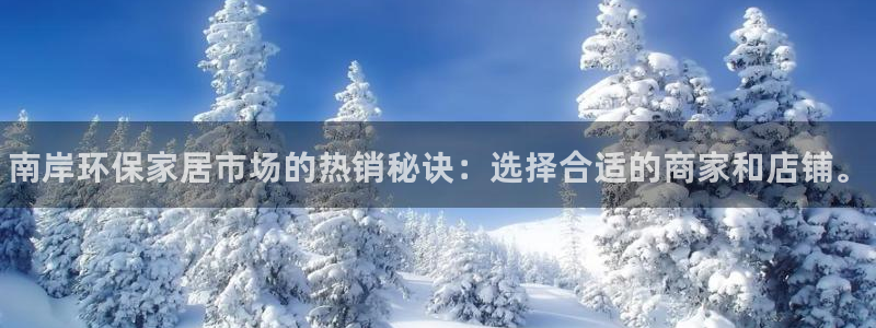 杏耀平台怎样：南岸环保家居市场的热销秘诀：选择合适的商家和店