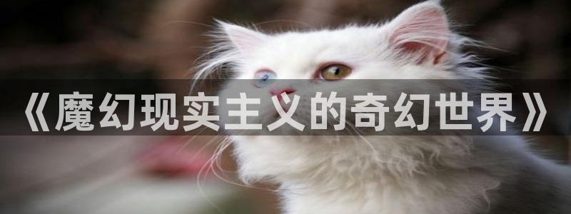 五杀影院版官网入口：《魔幻现实主义的奇幻世界》