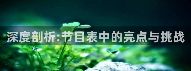 五杀影院官网在线：深度剖析:节目表中的亮点与挑战