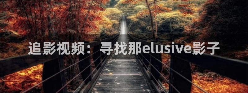 五杀影院免费观看：追影视频：寻找那elusive影子