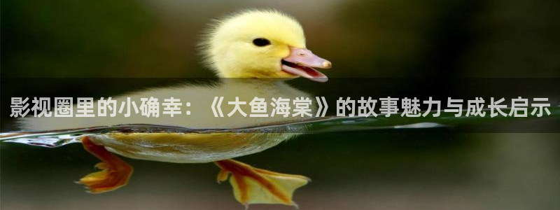 五杀影院免费在线观看：影视圈里的小确幸：《大鱼海棠》的故事魅力与成长启示