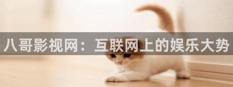 五杀影院免费高清：八哥影视网：互联网上的娱乐大势