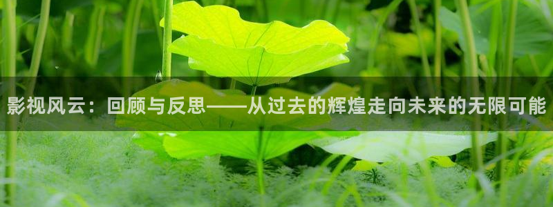 五杀影院官网入口：影视风云：回顾与反思——从过去的辉煌走向未来的无限可能