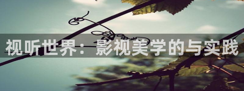 五杀影院官网在线：视听世界：影视美学的与实践