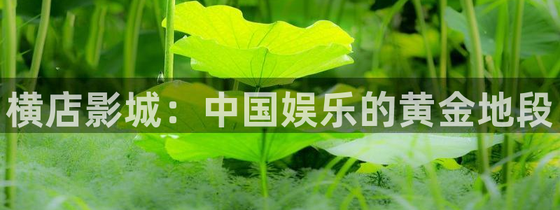 五杀影院在线观看：横店影城：中国娱乐的黄金地段